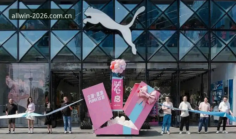 盈嘉体育官网登录 vs App下载：哪个更适合2026新用户？直接对比